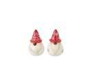 Salt & Pepper Santa Claus