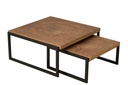 S/2 Coffee Table Dos MDF