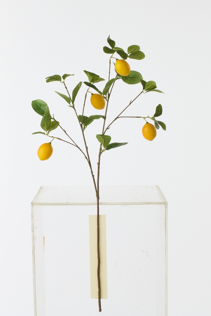 Lemon Branch Textile Dark Green/Yellow