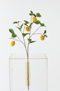 Lemon Branch Textile Dark Green/Yellow
