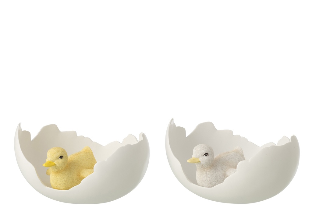 Duck In Egg Shell Resin