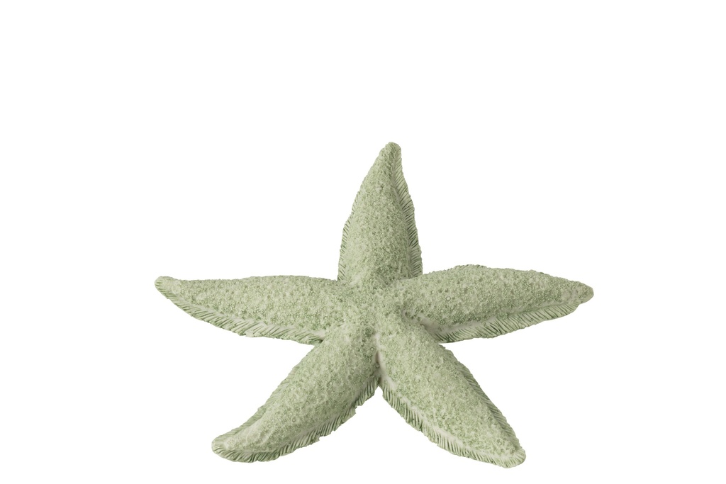 Starfish Polyresin Mint Green Small