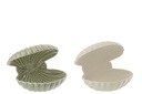 Shell Open Stoneware White/Olive Assortment