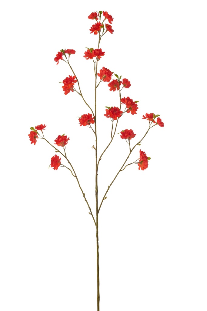 Blossom Textile Dark Red