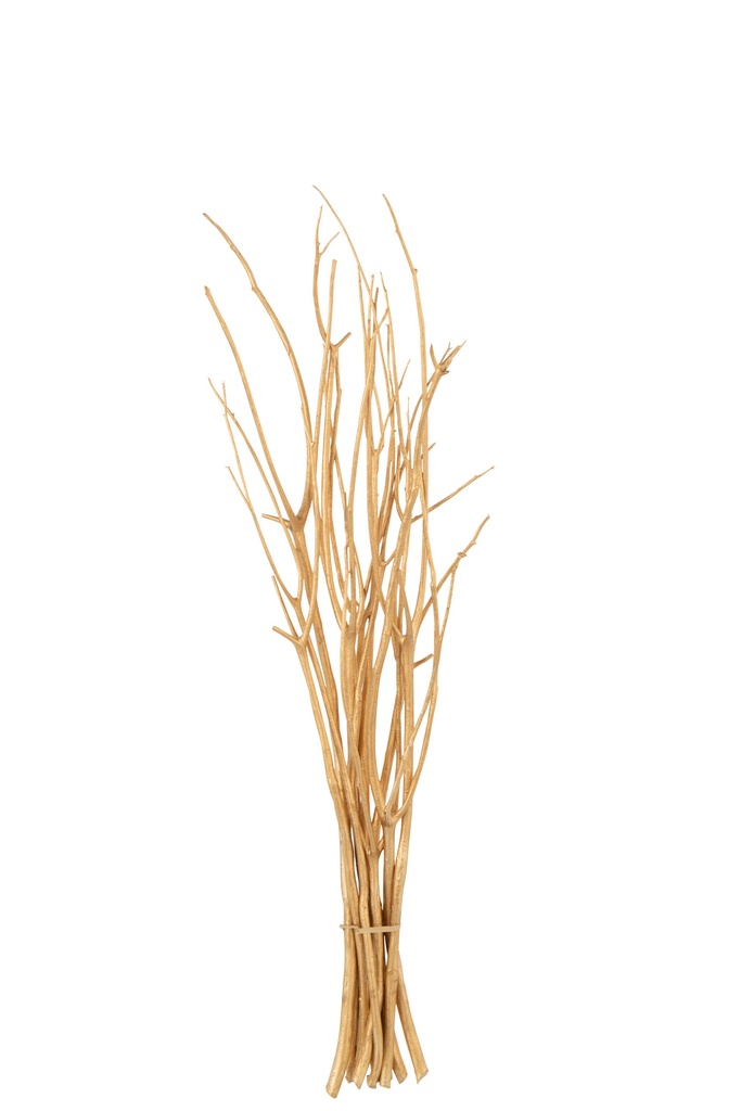 Bundle Of 10 Branch Dry
