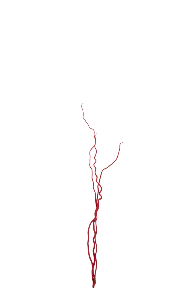 Bundle Of 3 Branch Dry