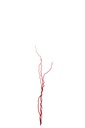 Bundle Of 3 Branch Dry