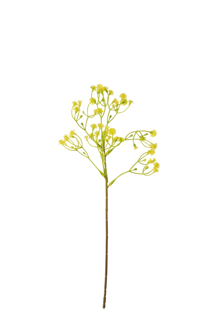 Gypsophila PVC Yellow