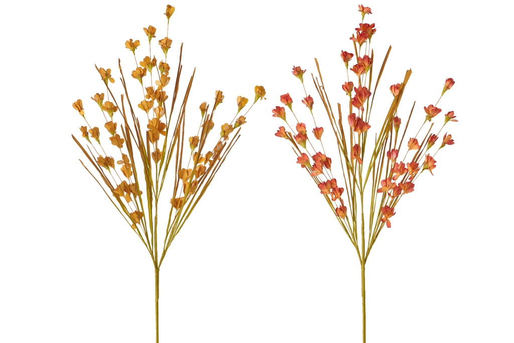 Jasminum Paper Yellow/Orange Assortment Of