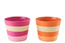 Flowerpot Striped Paper Pink/Orange Extra