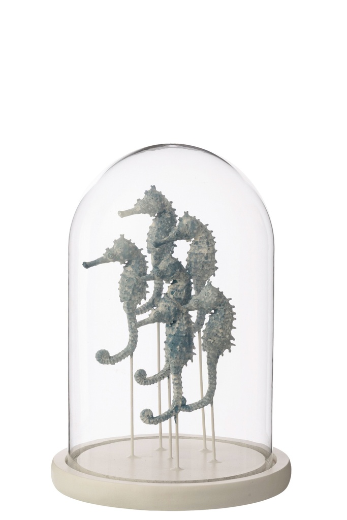 Decorative Bell Jar Seahorse Glass