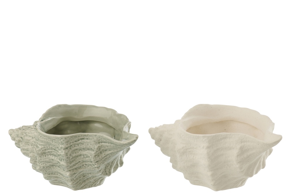 Shell Shell Stoneware White/Olive Assortment