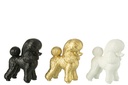 Poodle Resin Gold/Black/White Assortment Of