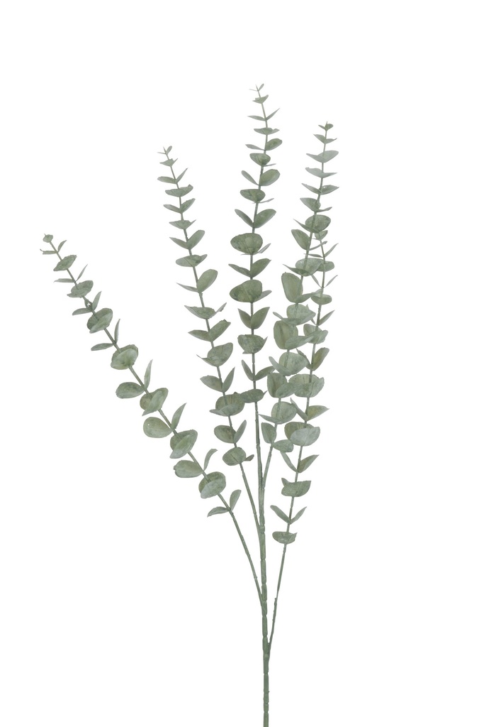 Branch Eucalyptus Leaves Plastic Green