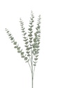 Branch Eucalyptus Leaves Plastic Green