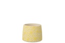Flowerpot Round Flowers Cement Yellow