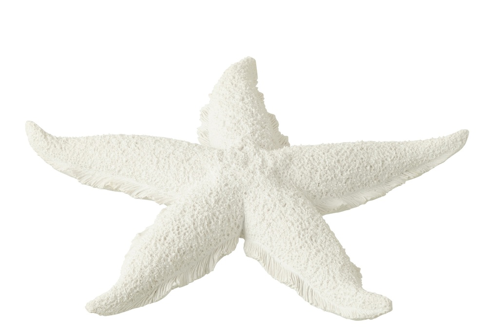 [40483] Starfish Polyresin White L