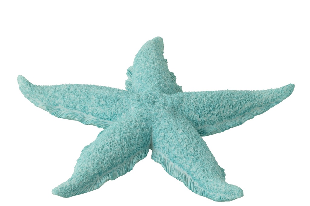[40507] Starfish Polyresin Azure L