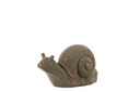 Snail Antique Outdoor Magnesium Dark
