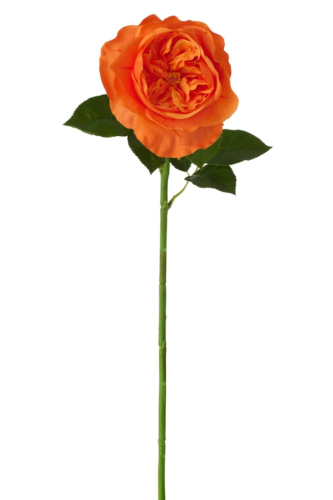 Rose Real Touch Fabric Dark