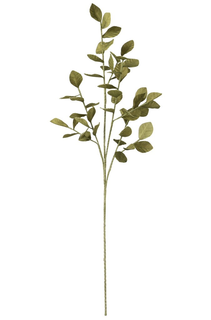 Branch Leaves EVA Green