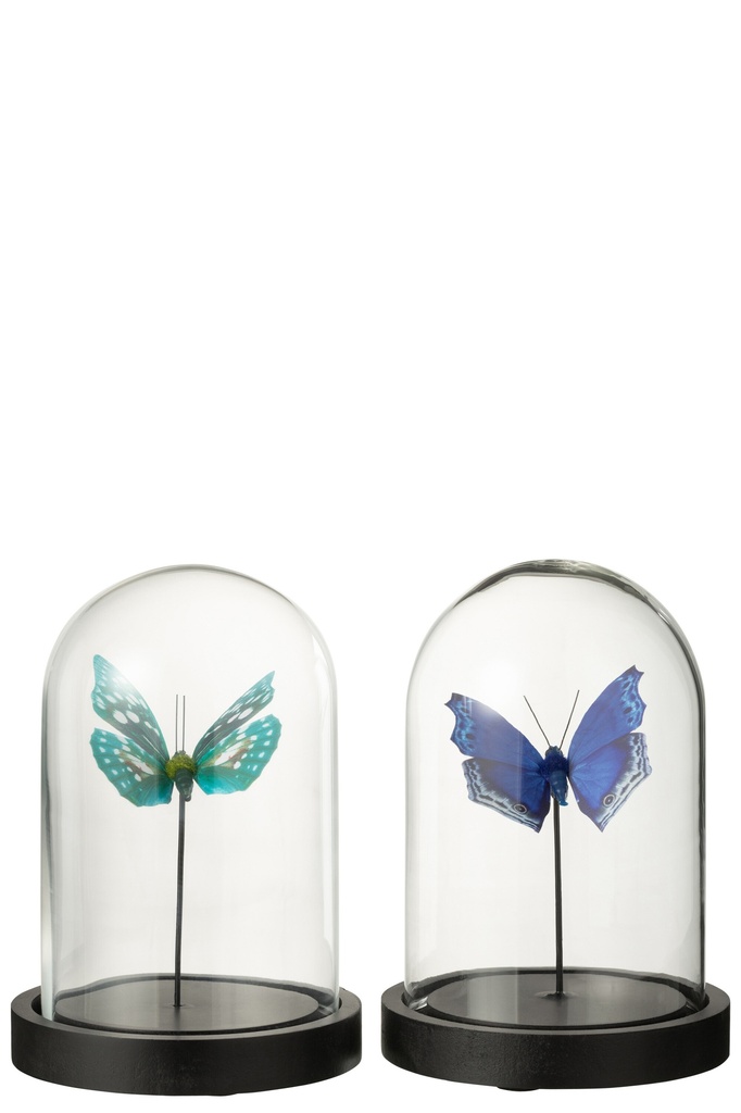 Cloche Papillon Verre/Papier Bleu