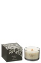 Scented Candle Cardamon Lime Coconut