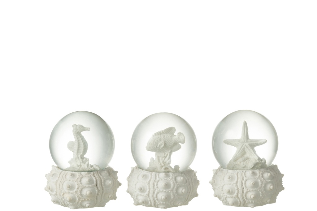 Waterglobe Sea Polyresin White Small