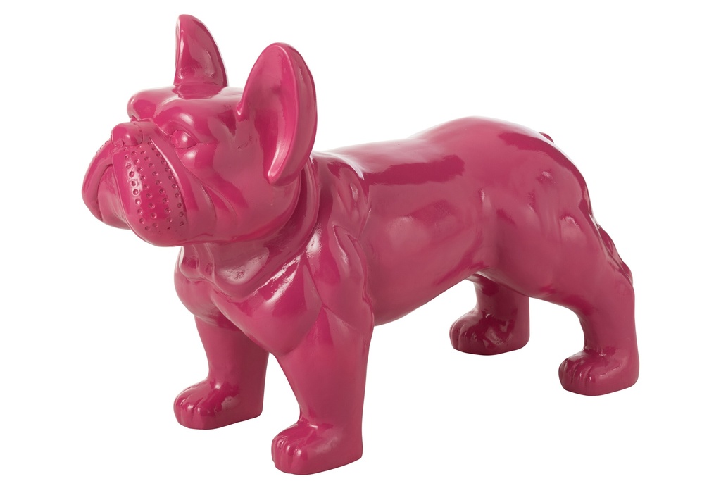 Bouledogue Mgo Fuchsia