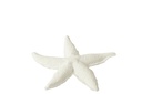 Étoile de mer en polyrésine blanche, petite taille