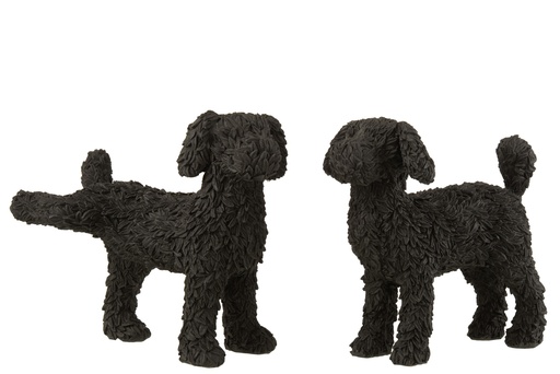 [16025] Assortiment Dog Max Poly Noir