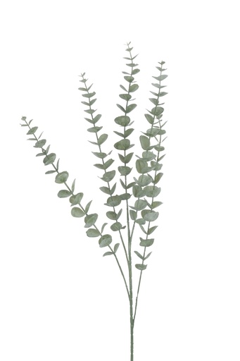 [37583] Branche Feuilles d'eucalyptus Plastique Vert