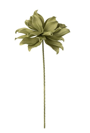 [51666] Branche de fleur 1 tête EVA